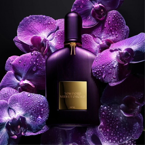 Tom Ford Velvet Orchid  Tom Ford